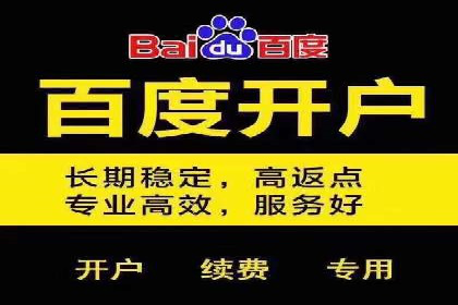 行业领先企业的SEM竞价专员工作实录